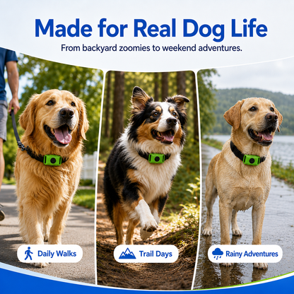 FurJoy™ 12 Months Flea & Tick Free