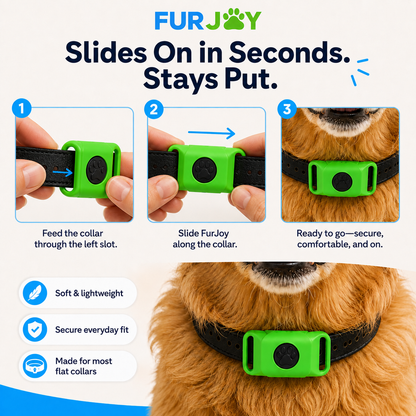 FurJoy™ 12 Months Flea & Tick Free