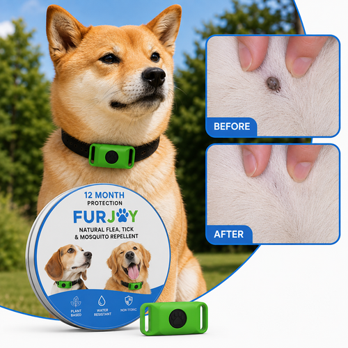 FurJoy™ 12 Months Flea & Tick Free