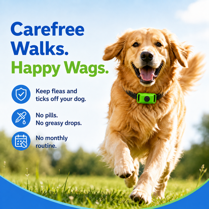 FurJoy™ 12 Months Flea & Tick Free