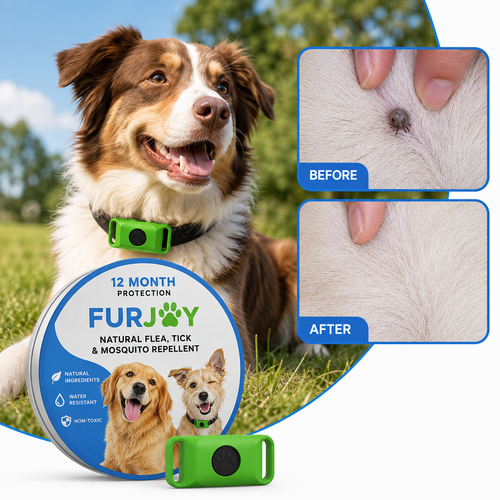 FurJoy™ 12 Months Flea & Tick Free